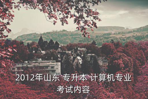 山東省專升本計算機(jī)試題,2022年山東專升本計算機(jī)試題