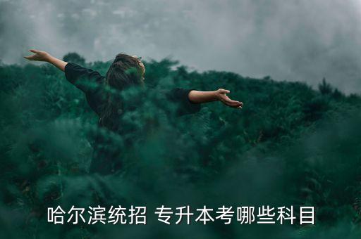 哈爾濱統(tǒng)招 專升本考哪些科目