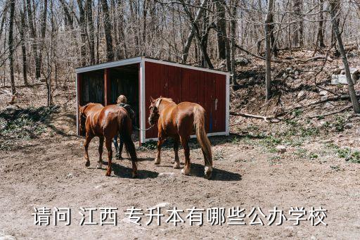 請(qǐng)問(wèn) 江西 專升本有哪些公辦學(xué)校