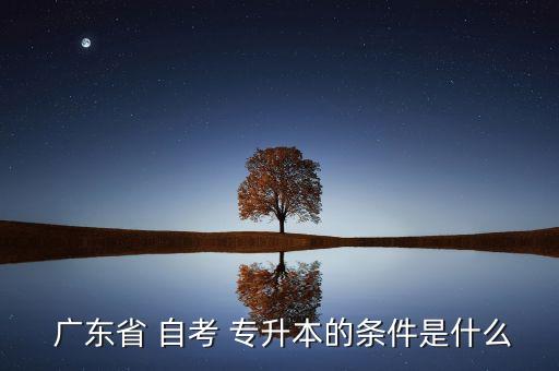 廣東專升本自考去哪里報(bào)名,自考專升本什么時(shí)候可以報(bào)名