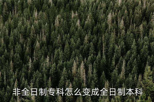  非全日制?？圃趺醋兂扇罩票究? class=