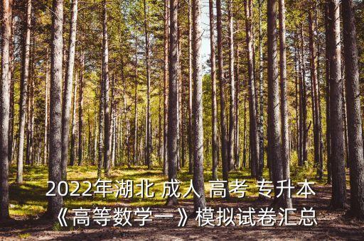 2022年湖北 成人 高考 專升本《高等數(shù)學(xué)一》模擬試卷匯總