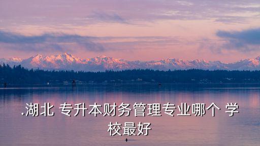 .湖北 專升本財(cái)務(wù)管理專業(yè)哪個(gè) 學(xué)校最好