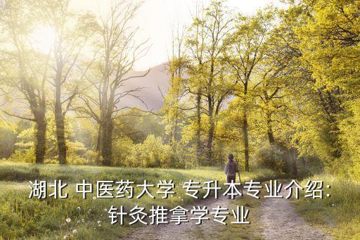 湖北 中醫(yī)藥大學(xué) 專升本專業(yè)介紹:針灸推拿學(xué)專業(yè)