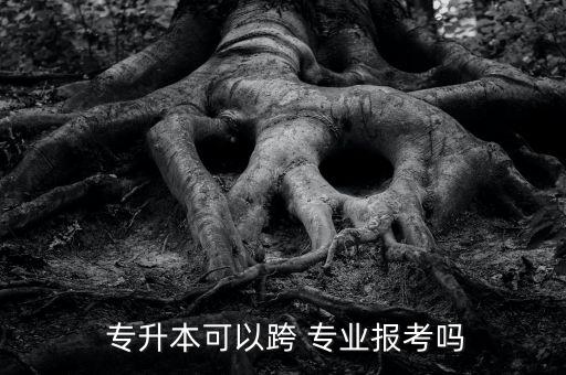  專升本可以跨 專業(yè)報考嗎