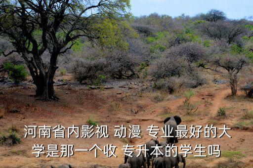  河南省內(nèi)影視 動漫 專業(yè)最好的大學(xué)是那一個收 專升本的學(xué)生嗎