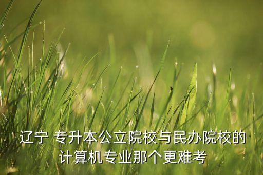  遼寧 專升本公立院校與民辦院校的 計(jì)算機(jī)專業(yè)那個(gè)更難考
