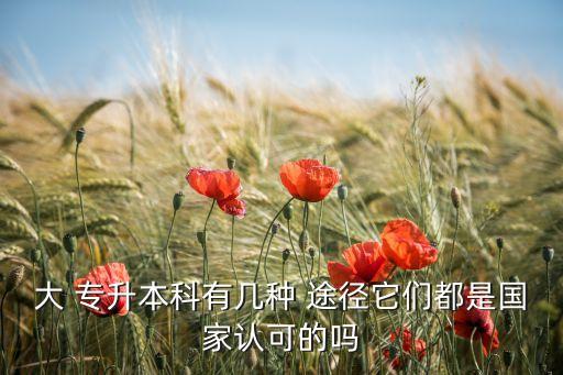 大 專升本科有幾種 途徑它們都是國家認可的嗎