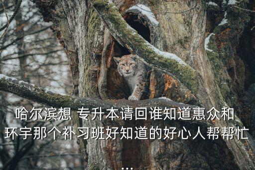 哈爾濱想 專升本請回誰知道惠眾和 環(huán)宇那個補(bǔ)習(xí)班好知道的好心人幫幫忙...