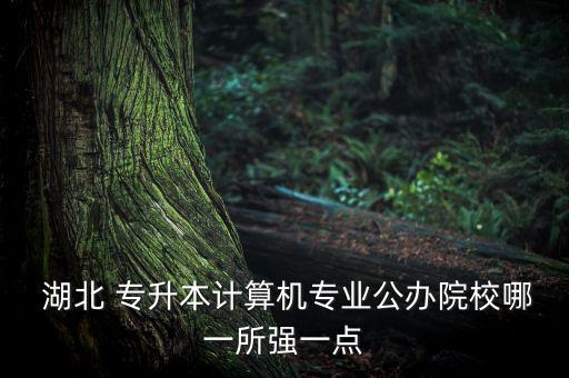  湖北 專升本計(jì)算機(jī)專業(yè)公辦院校哪一所強(qiáng)一點(diǎn)