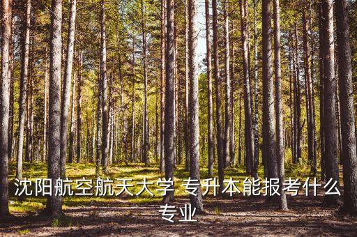 沈陽航空航天大學 專升本能報考什么專業(yè)