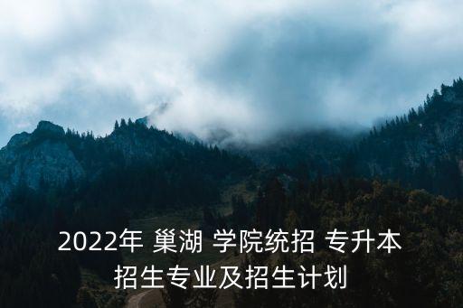 巢湖學(xué)院專升本有補(bǔ)錄的嗎