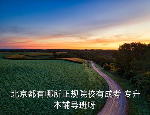  北京都有哪所正規(guī)院校有成考 專升本輔導班呀