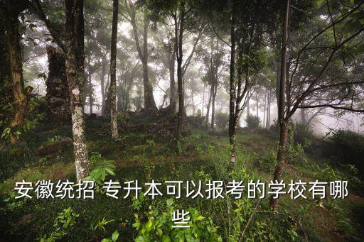 安徽統(tǒng)招 專升本可以報考的學校有哪些