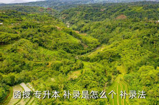 函授 專(zhuān)升本 補(bǔ)錄是怎么個(gè) 補(bǔ)錄法