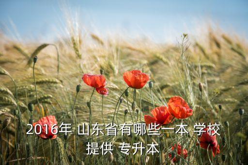 2016年 山東省有哪些一本 學(xué)校提供 專升本