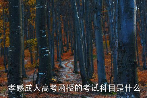  孝感成人高考函授的考試科目是什么