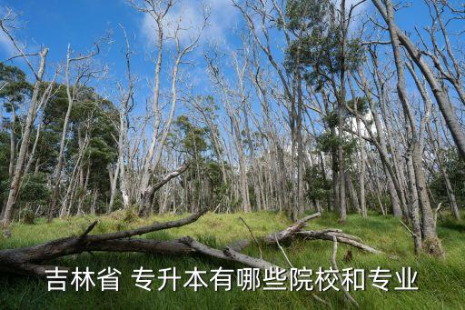 長(zhǎng)春金融高等專(zhuān)科學(xué)校專(zhuān)升本的學(xué)校