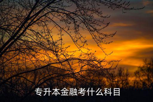  專升本金融考什么科目