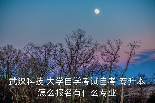 武漢科技 大學自學考試自考 專升本怎么報名有什么專業(yè)