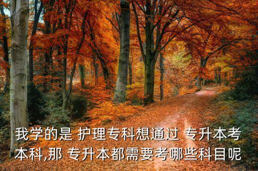 我學(xué)的是 護(hù)理?？葡胪ㄟ^(guò) 專升本考本科,那 專升本都需要考哪些科目呢