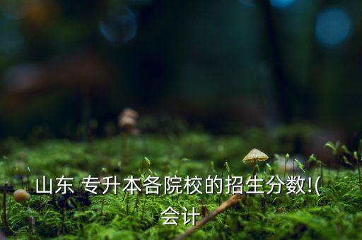 山東 專升本各院校的招生分數(shù)!( 會計