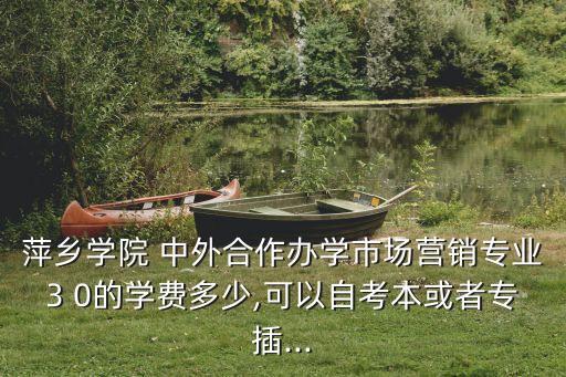 萍鄉(xiāng)學(xué)院 中外合作辦學(xué)市場(chǎng)營銷專業(yè)3 0的學(xué)費(fèi)多少,可以自考本或者專插...