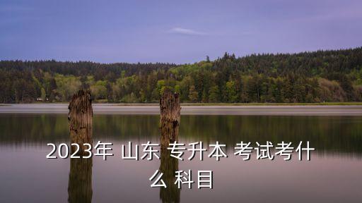 2023年 山東 專(zhuān)升本 考試考什么 科目