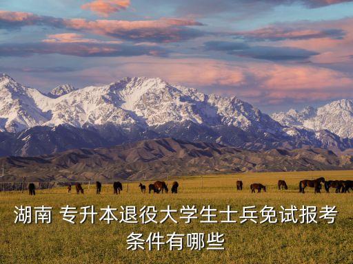 湖南 專升本退役大學(xué)生士兵免試報(bào)考條件有哪些