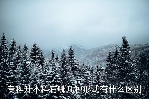 ?？粕究朴心膸追N形式有什么區(qū)別