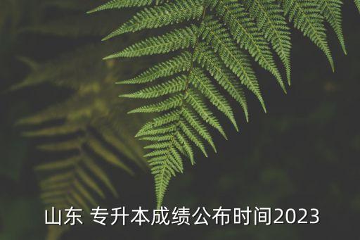  山東 專升本成績(jī)公布時(shí)間2023