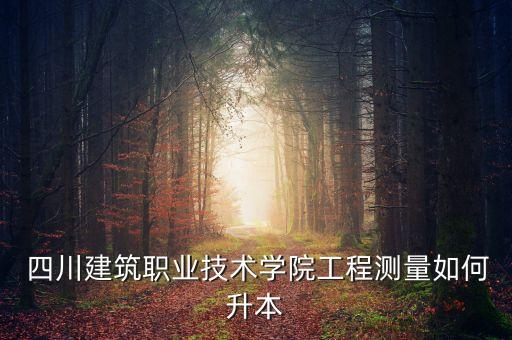  四川建筑職業(yè)技術(shù)學(xué)院工程測(cè)量如何升本