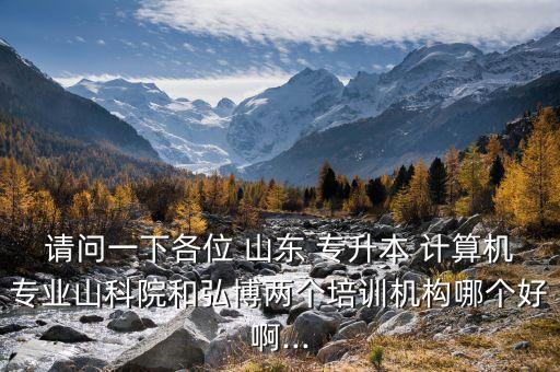 請問一下各位 山東 專升本 計(jì)算機(jī)專業(yè)山科院和弘博兩個(gè)培訓(xùn)機(jī)構(gòu)哪個(gè)好啊...