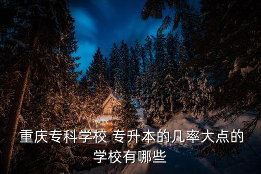  重慶?？茖W校 專升本的幾率大點的學校有哪些