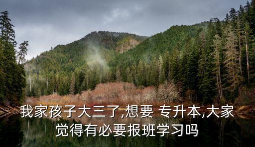 我家孩子大三了,想要 專升本,大家覺得有必要報班學(xué)習(xí)嗎