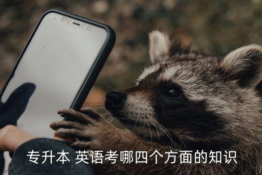  專(zhuān)升本 英語(yǔ)考哪四個(gè)方面的知識(shí)