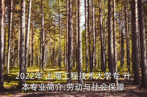 2022年 上海工程技術(shù)大學(xué)專 升本專業(yè)簡介:勞動與社會保障