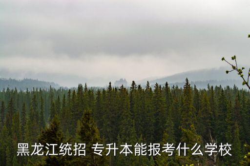 黑龍江統(tǒng)招 專(zhuān)升本能報(bào)考什么學(xué)校