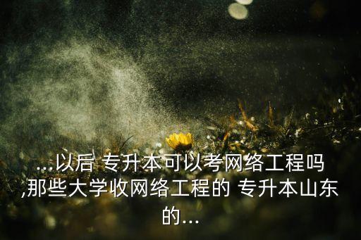 ...以后 專升本可以考網絡工程嗎,那些大學收網絡工程的 專升本山東的...