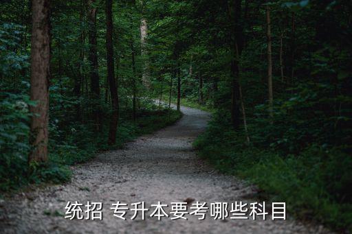 統(tǒng)招 專升本要考哪些科目
