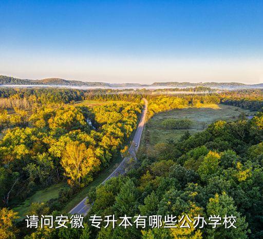 請問安徽 專升本有哪些公辦學(xué)校