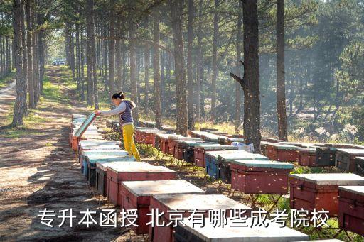  專升本函授 北京有哪些成考院校