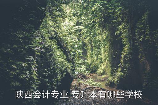 陜西會(huì)計(jì)專業(yè) 專升本有哪些學(xué)校