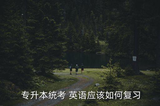 專升本英語一點不會怎么辦