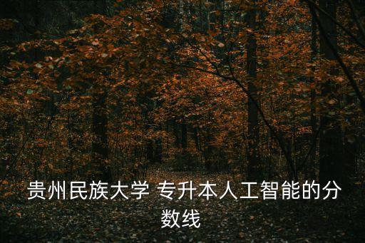  貴州民族大學 專升本人工智能的分數(shù)線