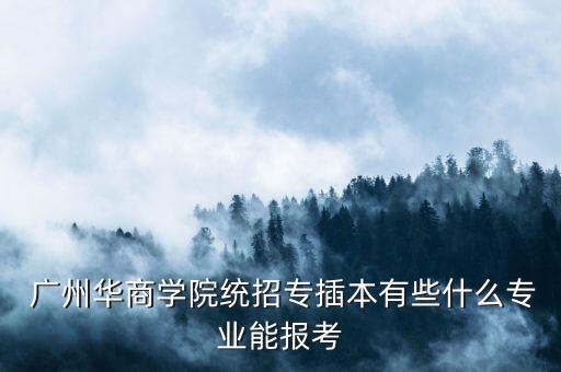  廣州華商學(xué)院統(tǒng)招專插本有些什么專業(yè)能報(bào)考