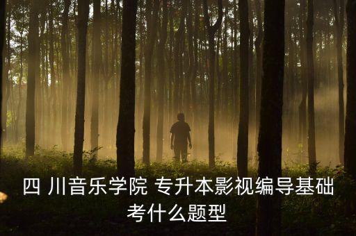 川音 專升本,川音專升本2022年考什么