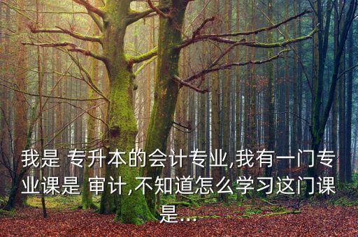 我是 專升本的會計專業(yè),我有一門專業(yè)課是 審計,不知道怎么學習這門課是...