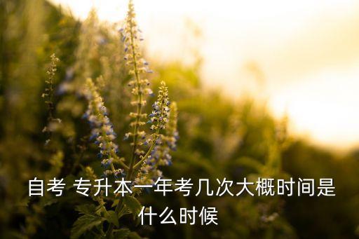 專升本自考本科時間,自考本科和學校專升本哪個好