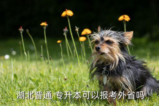 湖北自考專升本國(guó)家承認(rèn)嗎,自考專升本國(guó)家承認(rèn)學(xué)歷嗎